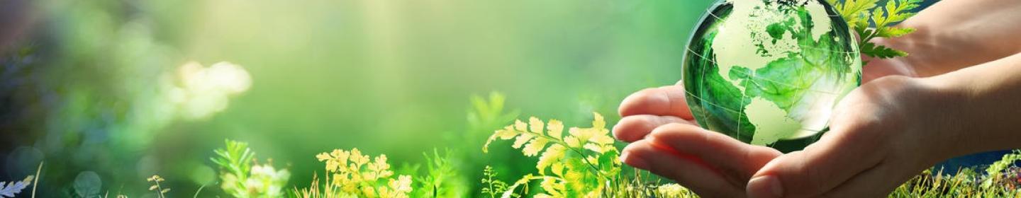 Banner corporate responsibility
