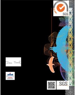 EN ISO 14001 - Saint gobain America.pdf