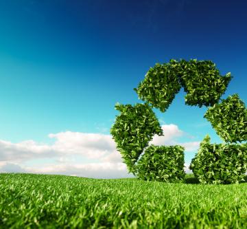Article 5 - Zero Waste project