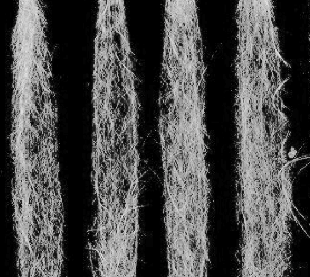 Voluminized yarn ECO